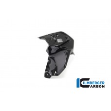 Ilmberger Carbon Airvent Cover Left Side for the BMW R 1250 GS 2017